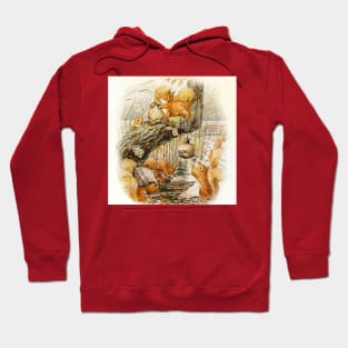 “Squirrel Nutkin and Friends” by Beatrix Potter Hoodie